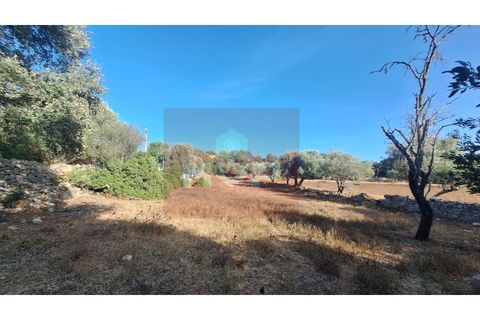Helårsgrund i Estoi, Faro, Estoi - € 270.000 | Ref: 170240114 - foto 13