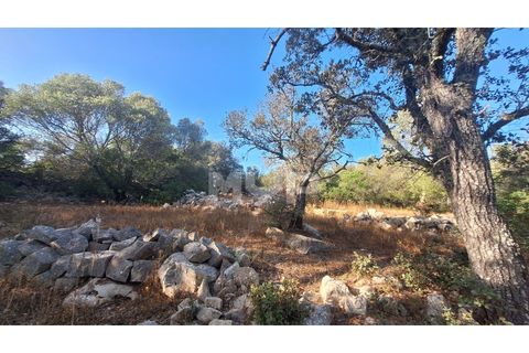 Helårsgrund i Estoi, Faro, Estoi - € 270.000 | Ref: 170240114 - foto 14