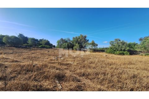 Helårsgrund i Estoi, Faro, Estoi - € 270.000 | Ref: 170240114 - foto 15