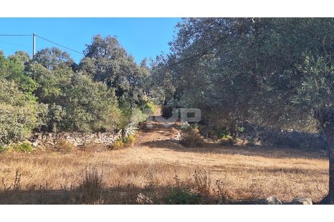 Helårsgrund i Estoi, Faro, Estoi - € 270.000 | Ref: 170240114 - foto 16