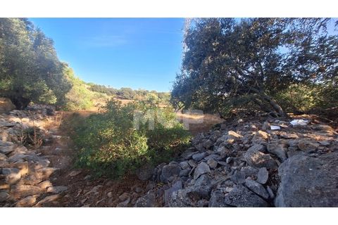 Helårsgrund i Estoi, Faro, Estoi - € 270.000 | Ref: 170240114 - foto 17