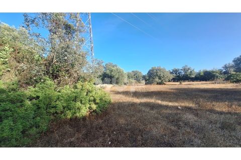 Helårsgrund i Estoi, Faro, Estoi - € 270.000 | Ref: 170240114 - foto 18