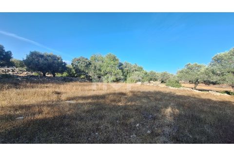 Helårsgrund i Estoi, Faro, Estoi - € 270.000 | Ref: 170240114 - foto 19