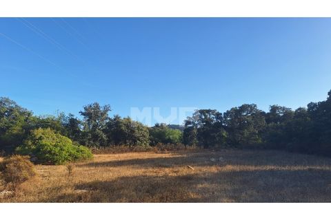 Helårsgrund i Estoi, Faro, Estoi - € 270.000 | Ref: 170240114 - foto 20