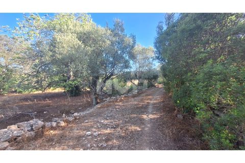 Helårsgrund i Estoi, Faro, Estoi - € 270.000 | Ref: 170240114 - foto 21