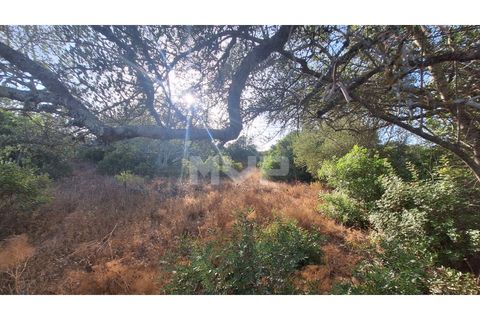 Helårsgrund i Estoi, Faro, Estoi - € 270.000 | Ref: 170240114 - foto 22