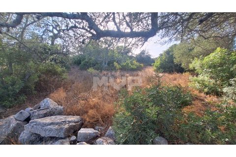 Helårsgrund i Estoi, Faro, Estoi - € 270.000 | Ref: 170240114 - foto 23
