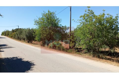 Helårsgrund i Estoi, Faro, Estoi - € 59.000 | Ref: 170240088 - foto 2