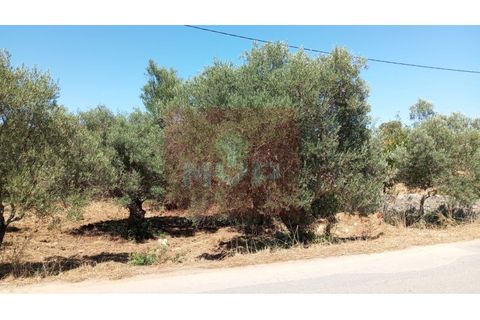 Helårsgrund i Estoi, Faro, Estoi - € 59.000 | Ref: 170240088 - foto 3