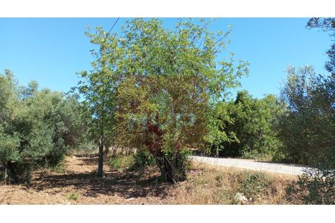 Helårsgrund i Estoi, Faro, Estoi - € 59.000 | Ref: 170240088 - foto 4