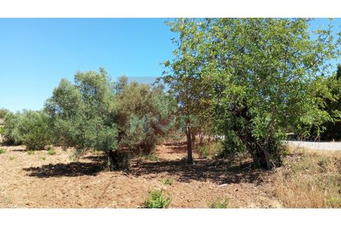 Helårsgrund i Estoi, Faro, Estoi - € 59.000 | Ref: 170240088 - foto 5