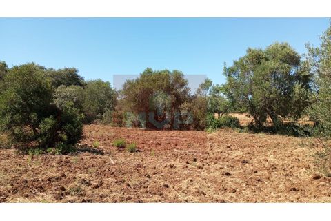 Helårsgrund i Estoi, Faro, Estoi - € 59.000 | Ref: 170240088 - foto 6