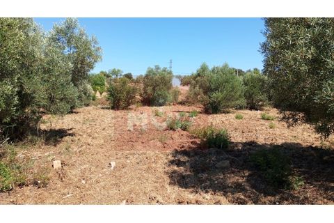 Helårsgrund i Estoi, Faro, Estoi - € 59.000 | Ref: 170240088 - foto 8