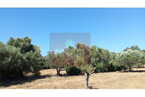Helårsgrund i Estoi, Faro, Estoi - € 59.000 | Ref: 170240088 - foto 10