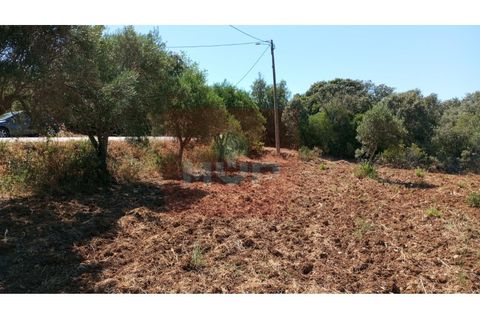 Helårsgrund i Estoi, Faro, Estoi - € 59.000 | Ref: 170240088 - foto 11