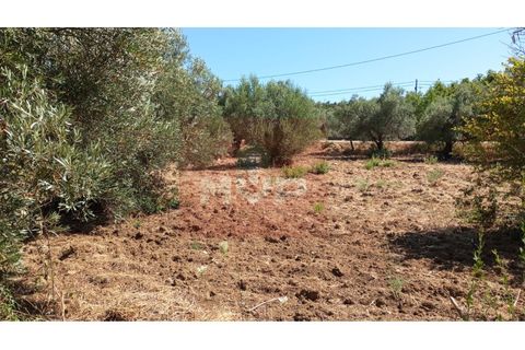 Helårsgrund i Estoi, Faro, Estoi - € 59.000 | Ref: 170240088 - foto 12