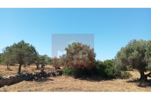 Helårsgrund i Estoi, Faro, Estoi - € 59.000 | Ref: 170240088 - foto 13