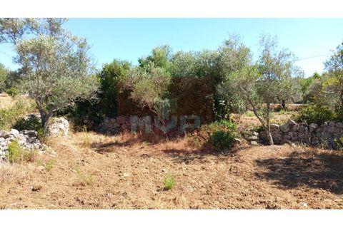 Helårsgrund i Estoi, Faro, Estoi - € 59.000 | Ref: 170240088 - foto 14