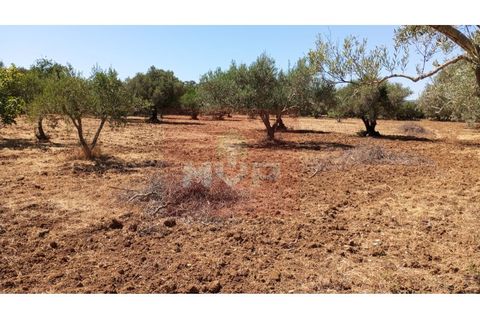 Helårsgrund i Estoi, Faro, Estoi - € 59.000 | Ref: 170240088 - foto 16