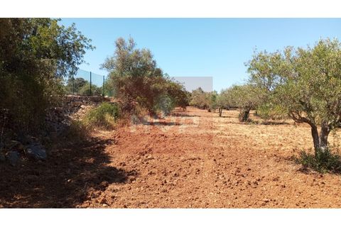 Helårsgrund i Estoi, Faro, Estoi - € 59.000 | Ref: 170240088 - foto 18