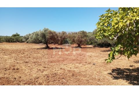 Helårsgrund i Estoi, Faro, Estoi - € 59.000 | Ref: 170240088 - foto 20