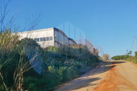 Terra a Quinta do Anjo, Setubal, Quinta do Anjo - € 440.000 | Ref: 9878 - foto 3