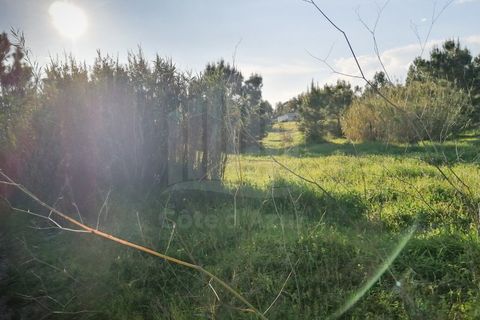 Terra a Quinta do Anjo, Setubal, Quinta do Anjo - € 440.000 | Ref: 9878 - foto 4