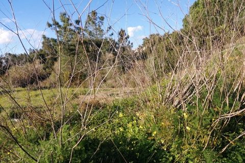 Terra a Quinta do Anjo, Setubal, Quinta do Anjo - € 440.000 | Ref: 9878 - foto 6