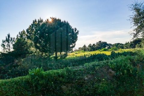 Helårsgrund i Quinta do Anjo, Setubal, Quinta do Anjo - € 1.550.000 | Ref: 9879 - foto 2