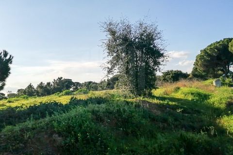 Helårsgrund i Quinta do Anjo, Setubal, Quinta do Anjo - € 1.550.000 | Ref: 9879 - foto 3