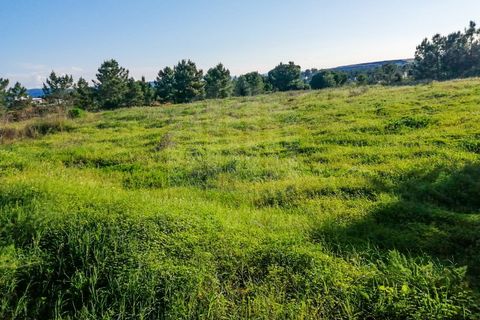 Helårsgrund i Quinta do Anjo, Setubal, Quinta do Anjo - € 1.550.000 | Ref: 9879 - foto 4