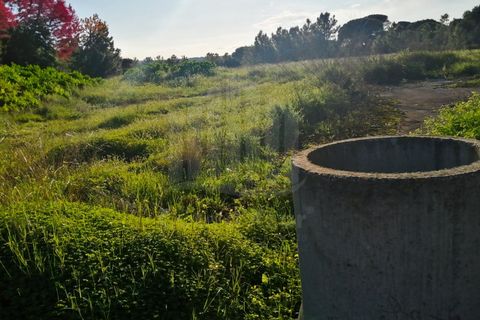 Helårsgrund i Quinta do Anjo, Setubal, Quinta do Anjo - € 1.550.000 | Ref: 9879 - foto 5