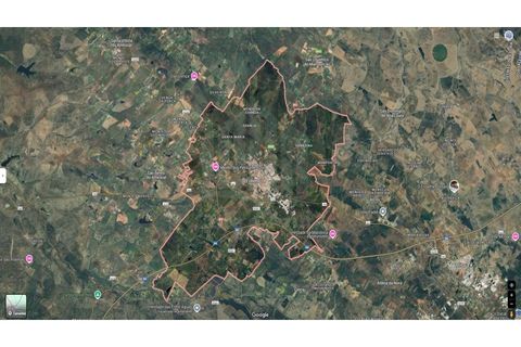 Terra a Estremoz, Evora, Estremoz - € 1.500.000 | Ref: 9829 - foto 4