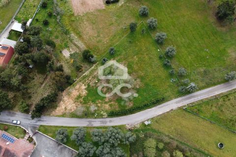 Helårsgrund i Leiria, Leiria, Leiria - € 97.500 | Ref: 385/T/00850 - foto 4