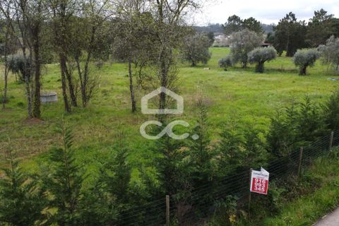 Helårsgrund i Leiria, Leiria, Leiria - € 97.500 | Ref: 385/T/00850 - foto 10