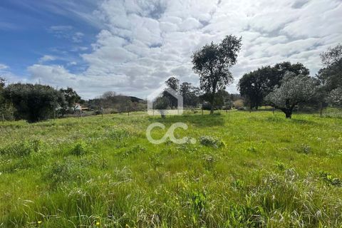 Helårsgrund i Leiria, Leiria, Leiria - € 97.500 | Ref: 385/T/00850 - foto 11