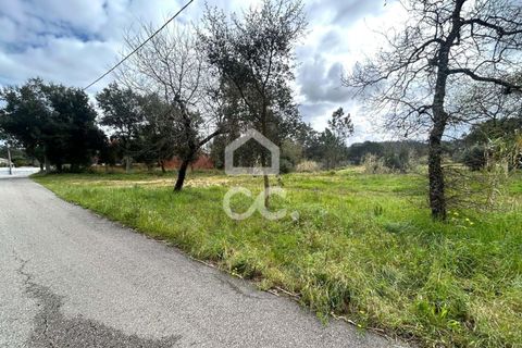 Helårsgrund i Leiria, Leiria, Leiria - € 97.500 | Ref: 385/T/00850 - foto 14