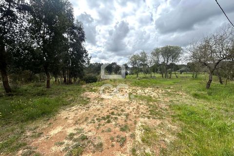 Helårsgrund i Leiria, Leiria, Leiria - € 97.500 | Ref: 385/T/00850 - foto 16