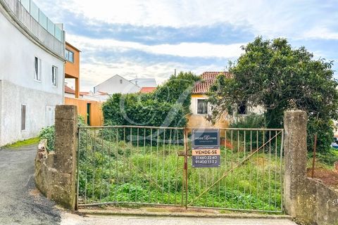 Helårsgrund i Mafra, Lisbon, Mafra - € 690.000 | Ref: 10118 - foto 2