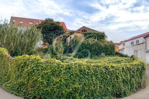 Helårsgrund i Mafra, Lisbon, Mafra - € 690.000 | Ref: 10118 - foto 5