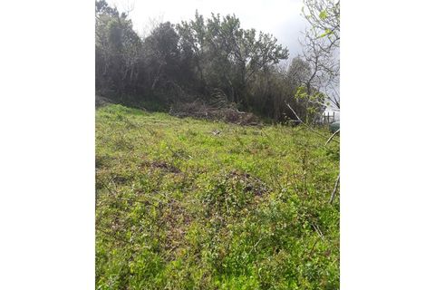Helårsgrund i Azambuja, Lisbon, Azambuja - € 18.000 | Ref: CA-122 - foto 7