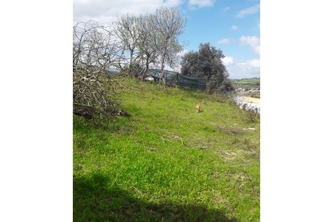 Helårsgrund i Azambuja, Lisbon, Azambuja - € 18.000 | Ref: CA-122 - foto 15