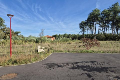 Villa i Pissos, Landes, Pissos - € 223.200 | Ref: SF-222-PIS - foto 6