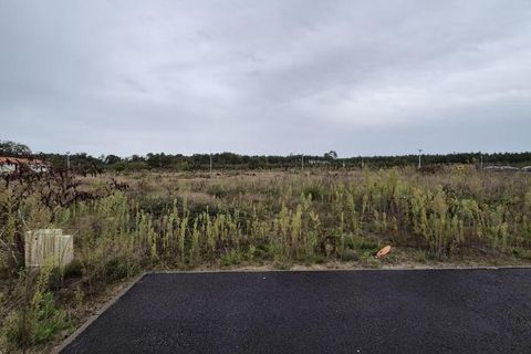 Terra a Ychoux, Landes, Ychoux - € 74.000 | Ref: SF-740-YCH - foto 2