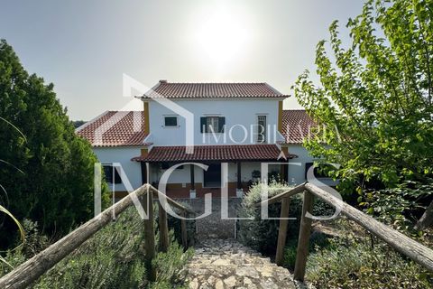 Villa i Chamusca, Santarem, Chamusca - € 545.000 | Ref: 1726 - foto 12