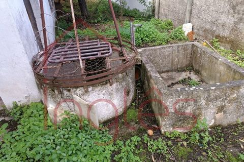 Helårsgrund i Almeirim, Santarem, Almeirim - € 40.000 | Ref: 1697 - foto 3