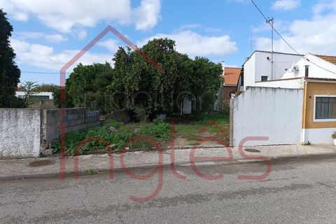Helårsgrund i Almeirim, Santarem, Almeirim - € 40.000 | Ref: 1697 - foto 5