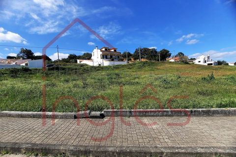 Terra a Chamusca, Santarem, Chamusca - € 50.000 | Ref: 1494 - foto 2