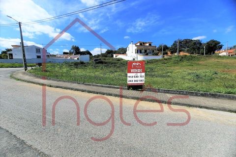 Terra a Chamusca, Santarem, Chamusca - € 50.000 | Ref: 1494 - foto 3