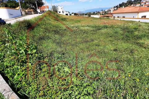Terra a Chamusca, Santarem, Chamusca - € 50.000 | Ref: 1494 - foto 4